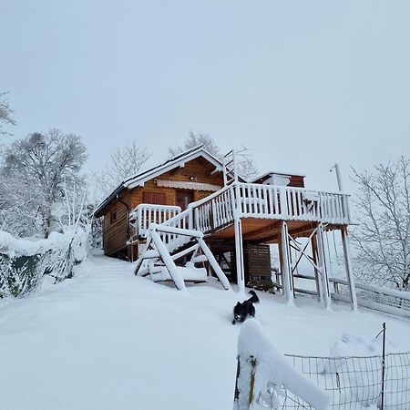 Vila Gnezdo Vid-Ik Catez ob Savi Exteriér fotografie