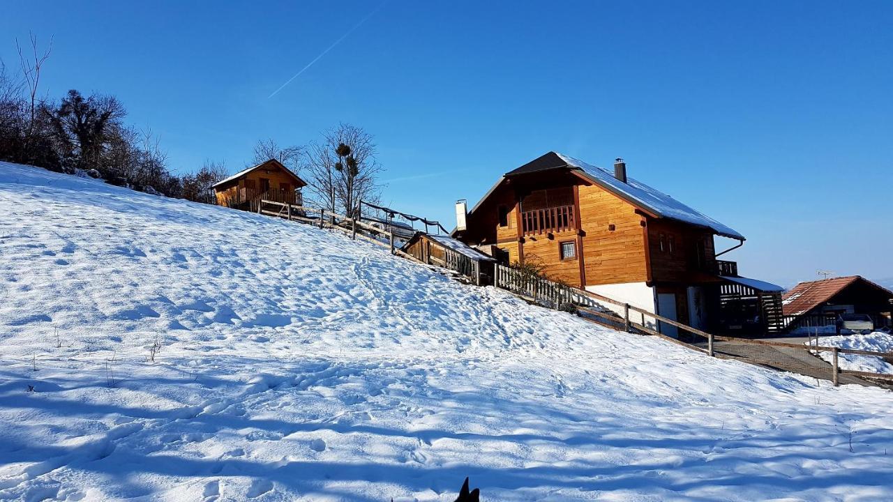 Vila Gnezdo Vid-Ik Catez ob Savi Exteriér fotografie