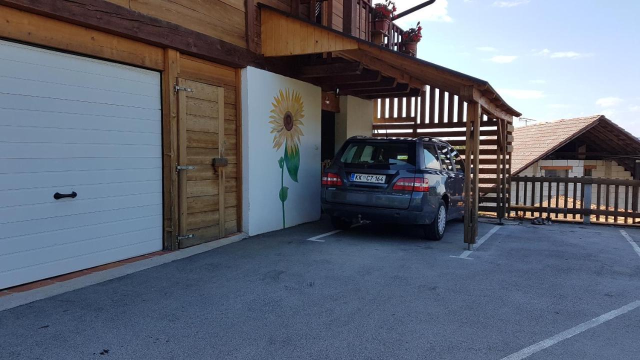 Vila Gnezdo Vid-Ik Catez ob Savi Exteriér fotografie