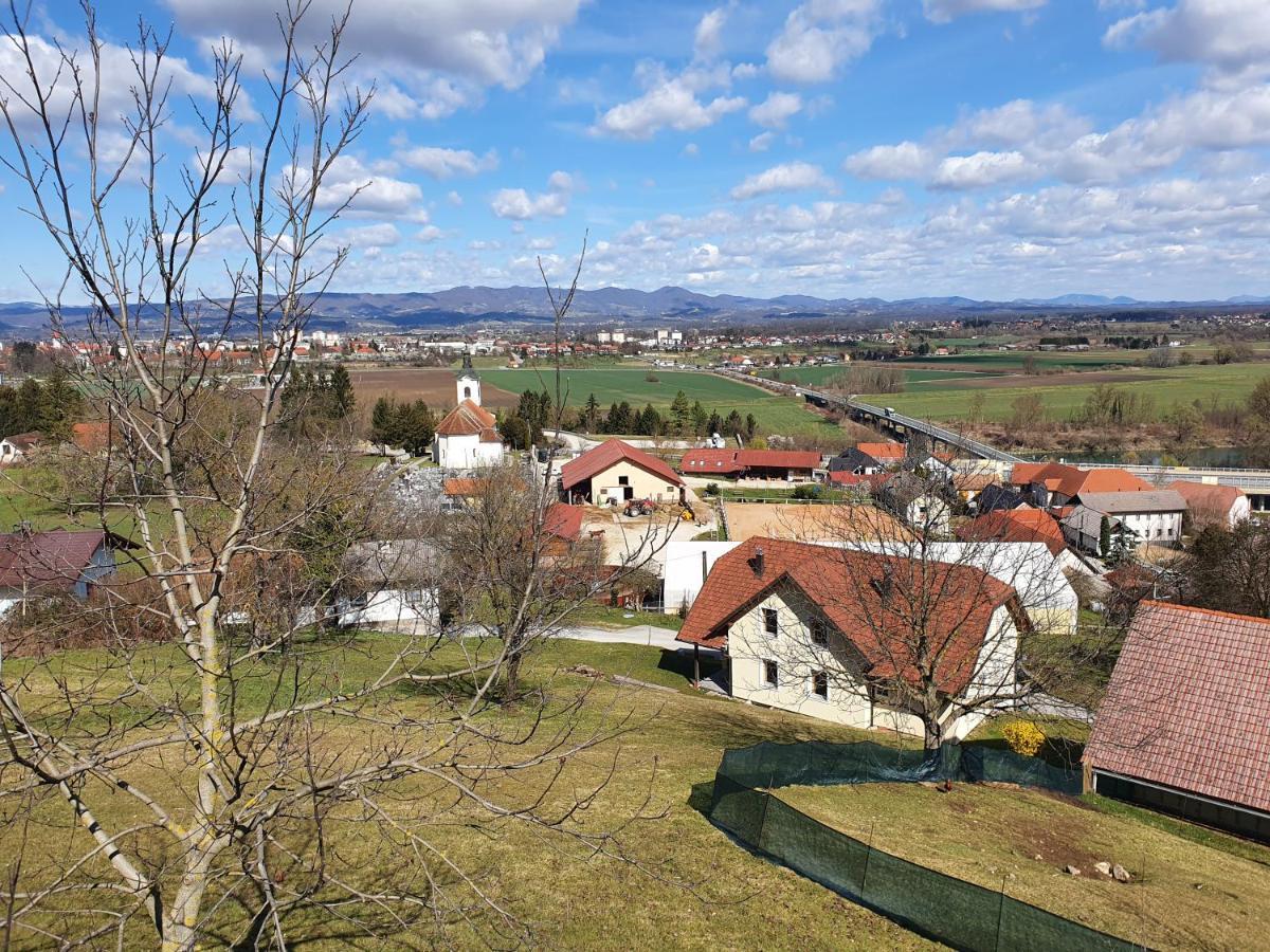 Vila Gnezdo Vid-Ik Catez ob Savi Exteriér fotografie