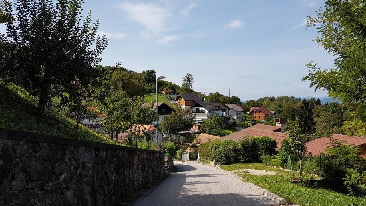 Vila Gnezdo Vid-Ik Catez ob Savi Exteriér fotografie