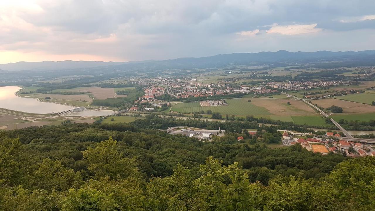 Vila Gnezdo Vid-Ik Catez ob Savi Exteriér fotografie