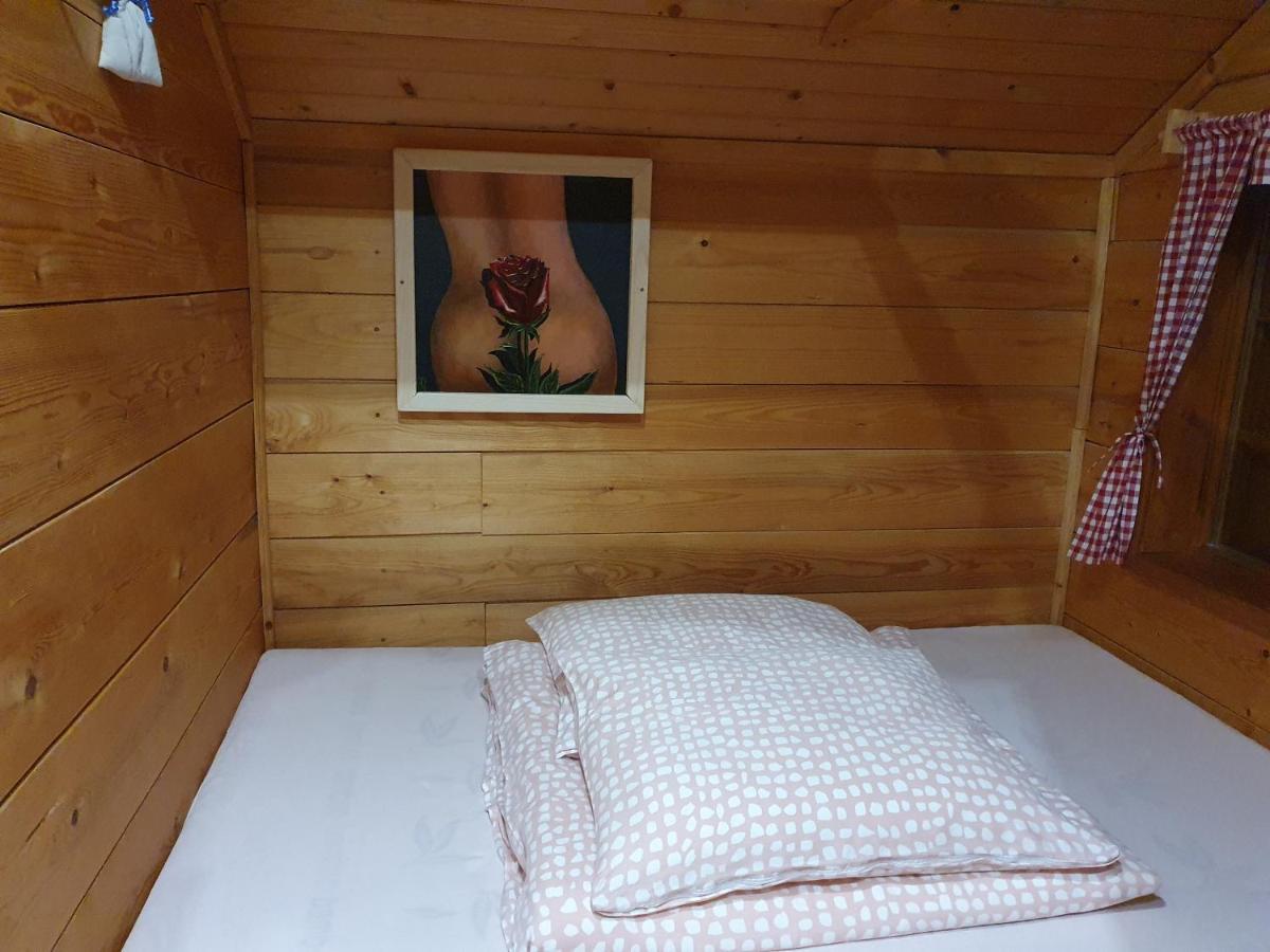 Vila Gnezdo Vid-Ik Catez ob Savi Exteriér fotografie