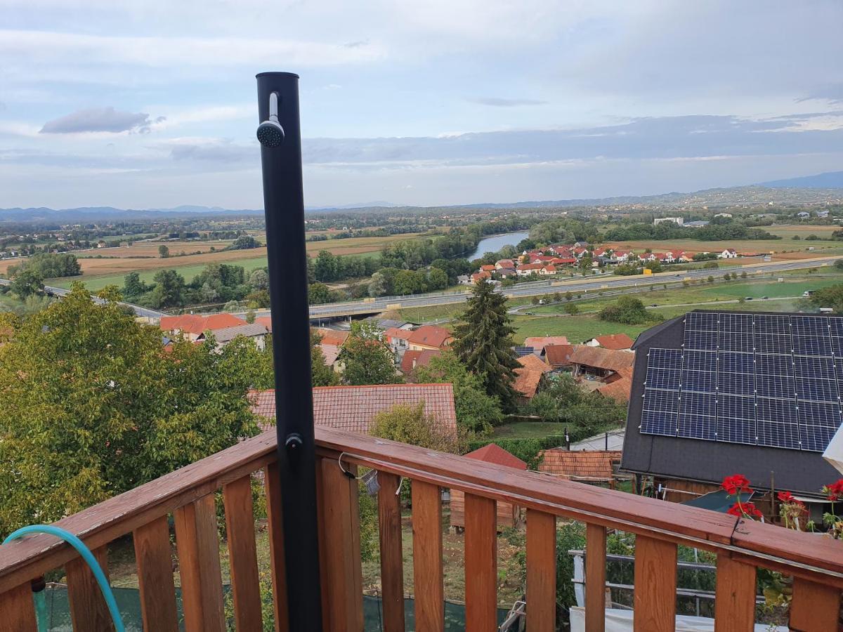 Vila Gnezdo Vid-Ik Catez ob Savi Exteriér fotografie
