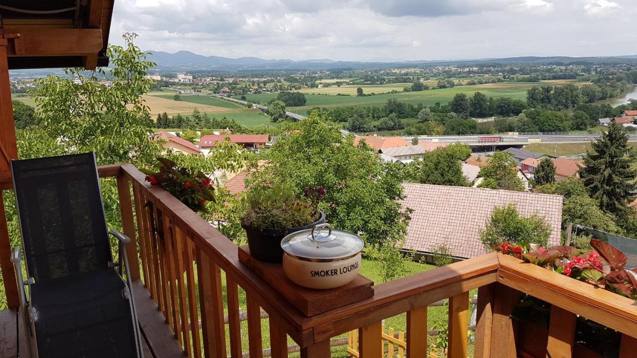 Vila Gnezdo Vid-Ik Catez ob Savi Exteriér fotografie
