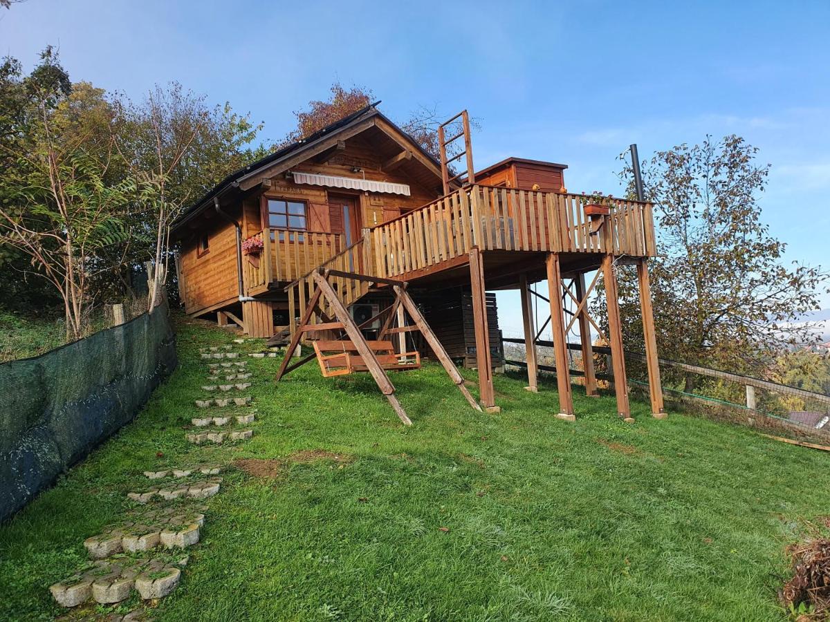 Vila Gnezdo Vid-Ik Catez ob Savi Exteriér fotografie